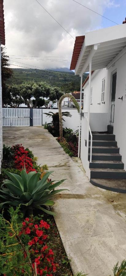 상호케도피코 Casa Da Avo Biza 빌라 외부 사진